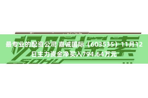最专业的配资公司 嘉诚国际（603535）11月12日主力资金净买入794.64万元