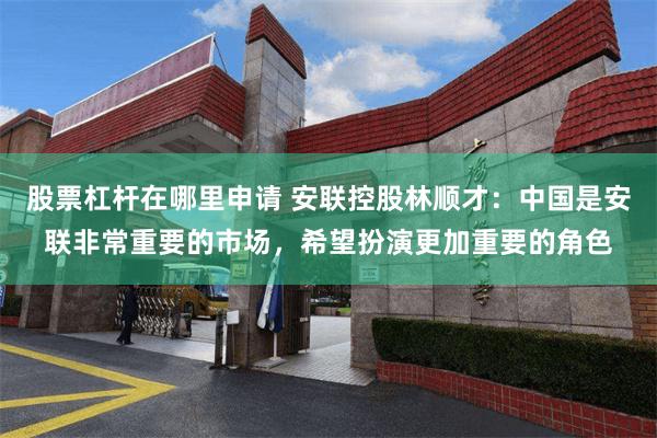 股票杠杆在哪里申请 安联控股林顺才：中国是安联非常重要的市场，希望扮演更加重要的角色