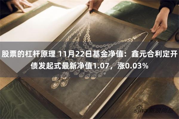 股票的杠杆原理 11月22日基金净值：鑫元合利定开债发起式最新净值1.07，涨0.03%