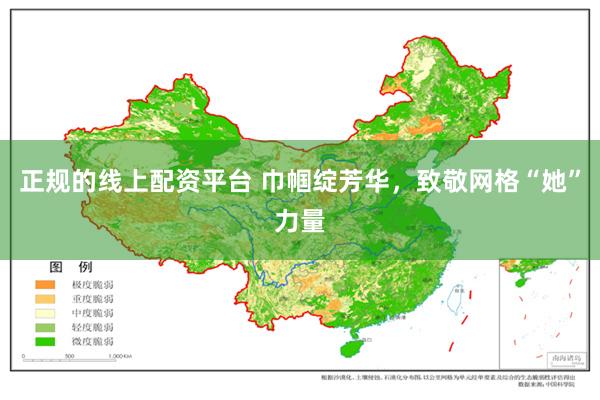 正规的线上配资平台 巾帼绽芳华，致敬网格“她”力量