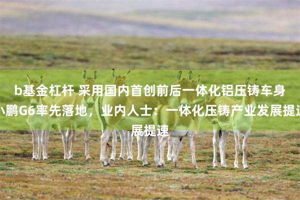 b基金杠杆 采用国内首创前后一体化铝压铸车身小鹏G6率先落地，业内人士：一体化压铸产业发展提速