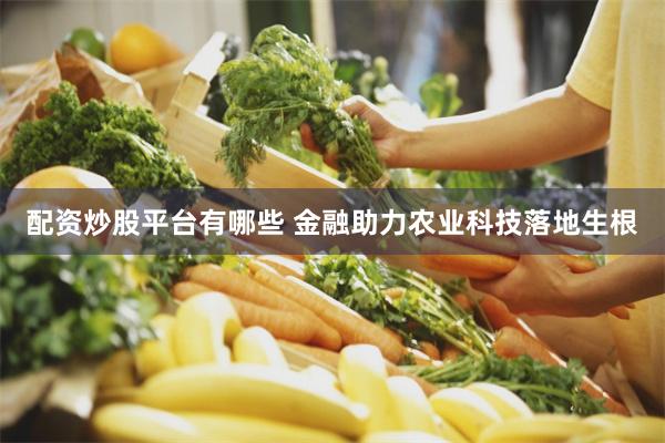 配资炒股平台有哪些 金融助力农业科技落地生根