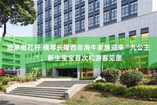 股票做杠杆 横琴长隆西非海牛家族迎来“九公主”，新生宝宝首次和游客见面