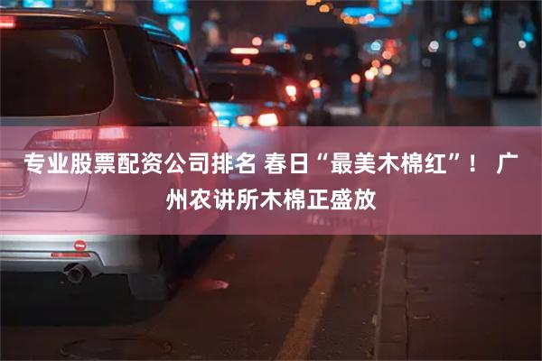 专业股票配资公司排名 春日“最美木棉红”！ 广州农讲所木棉正盛放