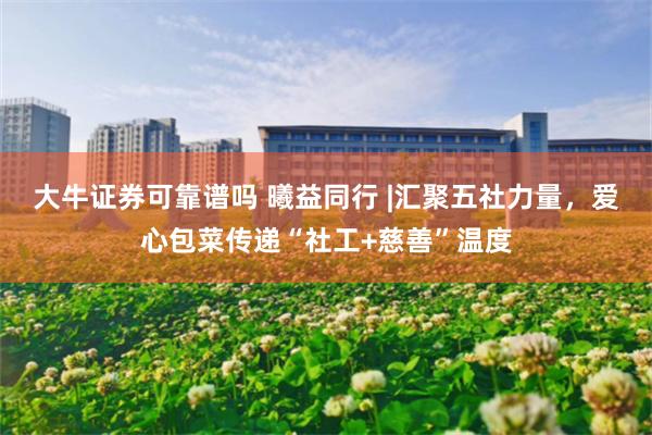 大牛证券可靠谱吗 曦益同行 |汇聚五社力量，爱心包菜传递“社工+慈善”温度