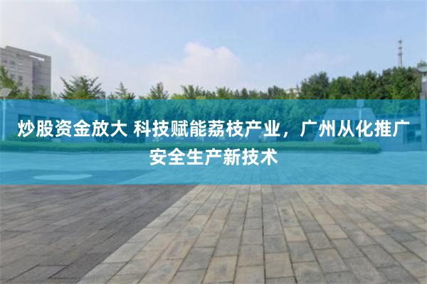 炒股资金放大 科技赋能荔枝产业，广州从化推广安全生产新技术