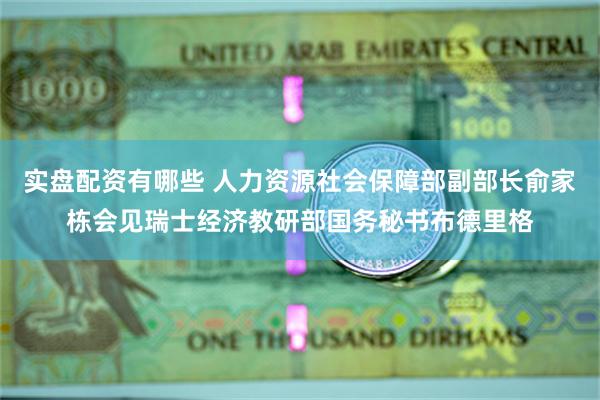 实盘配资有哪些 人力资源社会保障部副部长俞家栋会见瑞士经济教研部国务秘书布德里格